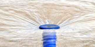 Etkili Bir Basın Bülteni İçin Özgünlük Neden Önemlidir? Etkili Bir Basın Bülteni İçin Özgünlük Neden Önemlidir?