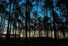 Etkili Bir Basın Bülteni İçin Zamanlama Stratejileri Etkili Bir Basın Bülteni İçin Zamanlama Stratejileri