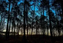 Etkili Bir Basın Bülteni İçin Zamanlama Stratejileri Etkili Bir Basın Bülteni İçin Zamanlama Stratejileri