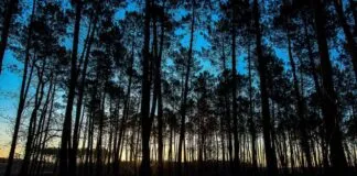 Etkili Bir Basın Bülteni İçin Zamanlama Stratejileri Etkili Bir Basın Bülteni İçin Zamanlama Stratejileri