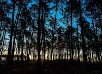 Etkili Bir Basın Bülteni İçin Zamanlama Stratejileri Etkili Bir Basın Bülteni İçin Zamanlama Stratejileri