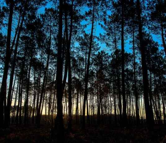 Etkili Bir Basın Bülteni İçin Zamanlama Stratejileri Etkili Bir Basın Bülteni İçin Zamanlama Stratejileri