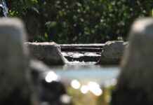 Geleneksel Medya İçin Basın Bülteni Hazırlama Rehberi Geleneksel Medya İçin Basın Bülteni Hazırlama Rehberi