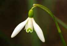 Gıda Sektöründe Basın Bülteni Kullanımı ve Örnekler Gıda Sektöründe Basın Bülteni Kullanımı ve Örnekler