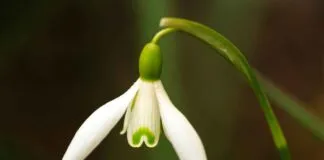 Gıda Sektöründe Basın Bülteni Kullanımı ve Örnekler Gıda Sektöründe Basın Bülteni Kullanımı ve Örnekler