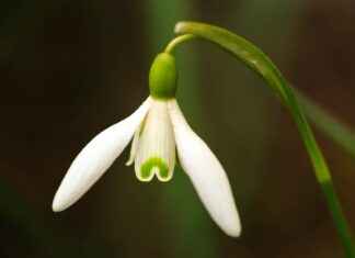 Gıda Sektöründe Basın Bülteni Kullanımı ve Örnekler Gıda Sektöründe Basın Bülteni Kullanımı ve Örnekler