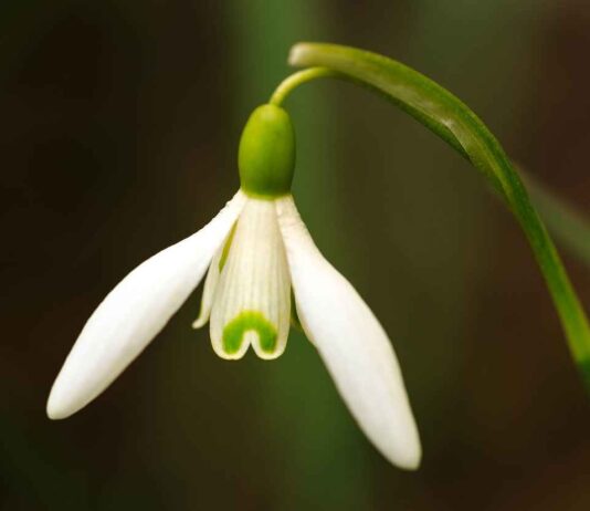 Gıda Sektöründe Basın Bülteni Kullanımı ve Örnekler Gıda Sektöründe Basın Bülteni Kullanımı ve Örnekler