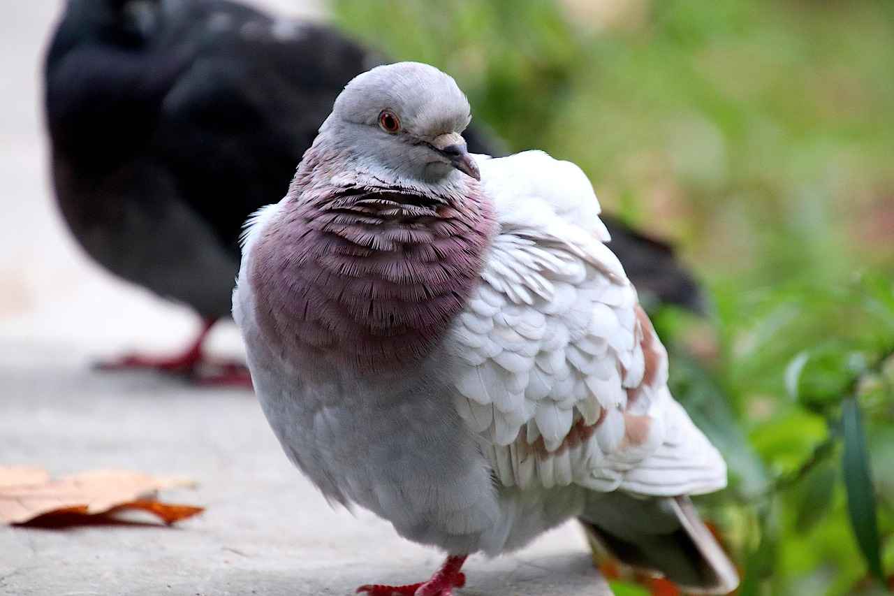 Sonuç ve Öneriler