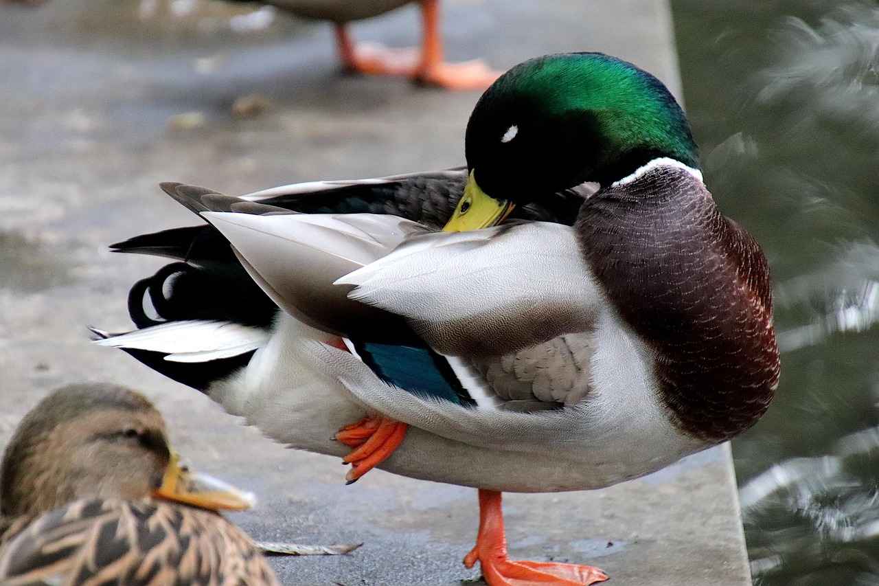 Basın Bültenlerinde Görsel Kullanımının Avantajları