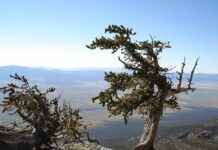 İş Dünyasında Basın Bülteni ile İtibar Yönetimi İş Dünyasında Basın Bülteni ile İtibar Yönetimi