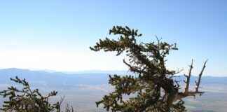 İş Dünyasında Basın Bülteni ile İtibar Yönetimi İş Dünyasında Basın Bülteni ile İtibar Yönetimi