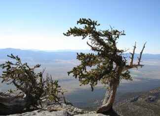 İş Dünyasında Basın Bülteni ile İtibar Yönetimi İş Dünyasında Basın Bülteni ile İtibar Yönetimi