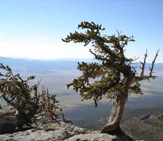 İş Dünyasında Basın Bülteni ile İtibar Yönetimi İş Dünyasında Basın Bülteni ile İtibar Yönetimi