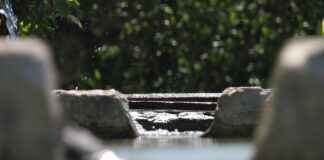 Kendi Basın Bülteni Platformunuzu Oluşturmanın Avantajları Kendi Basın Bülteni Platformunuzu Oluşturmanın Avantajları