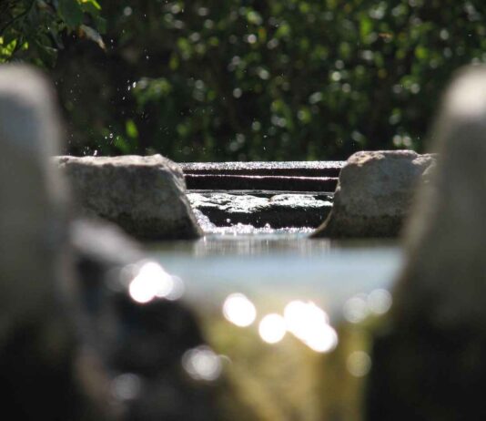 Kendi Basın Bülteni Platformunuzu Oluşturmanın Avantajları Kendi Basın Bülteni Platformunuzu Oluşturmanın Avantajları