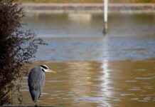 KOBİ’ler İçin Basın Bülteni Yazımında En İyi Stratejiler KOBİ’ler İçin Basın Bülteni Yazımında En İyi Stratejiler