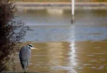 KOBİ’ler İçin Basın Bülteni Yazımında En İyi Stratejiler KOBİ’ler İçin Basın Bülteni Yazımında En İyi Stratejiler