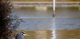 KOBİ’ler İçin Basın Bülteni Yazımında En İyi Stratejiler KOBİ’ler İçin Basın Bülteni Yazımında En İyi Stratejiler