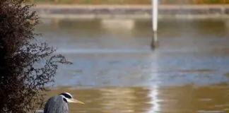 KOBİ’ler İçin Basın Bülteni Yazımında En İyi Stratejiler KOBİ’ler İçin Basın Bülteni Yazımında En İyi Stratejiler