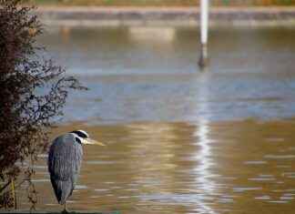 KOBİ’ler İçin Basın Bülteni Yazımında En İyi Stratejiler KOBİ’ler İçin Basın Bülteni Yazımında En İyi Stratejiler