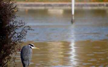KOBİ’ler İçin Basın Bülteni Yazımında En İyi Stratejiler KOBİ’ler İçin Basın Bülteni Yazımında En İyi Stratejiler