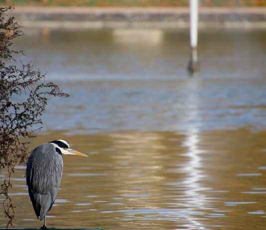 KOBİ’ler İçin Basın Bülteni Yazımında En İyi Stratejiler KOBİ’ler İçin Basın Bülteni Yazımında En İyi Stratejiler
