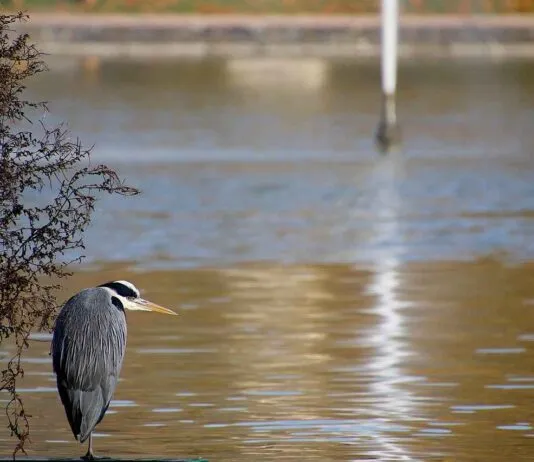 KOBİ’ler İçin Basın Bülteni Yazımında En İyi Stratejiler KOBİ’ler İçin Basın Bülteni Yazımında En İyi Stratejiler