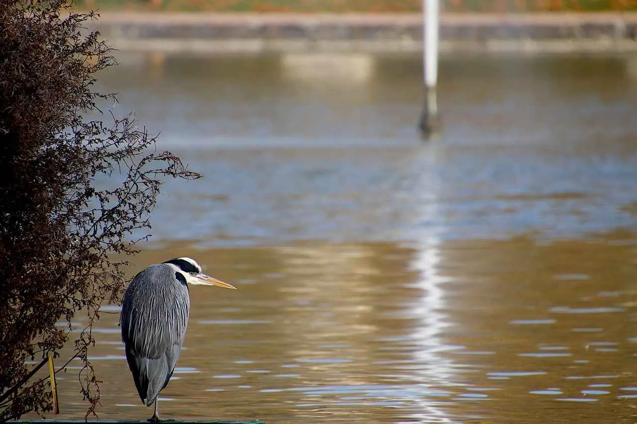 KOBİ’ler İçin Basın Bülteni Yazımında En İyi Stratejiler KOBİ’ler İçin Basın Bülteni Yazımında En İyi Stratejiler