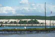 Kriz Anlarında Basın Bülteni ile Kamuoyu Yönetimi Kriz Anlarında Basın Bülteni ile Kamuoyu Yönetimi