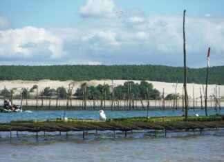 Kriz Anlarında Basın Bülteni ile Kamuoyu Yönetimi Kriz Anlarında Basın Bülteni ile Kamuoyu Yönetimi