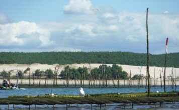 Kriz Anlarında Basın Bülteni ile Kamuoyu Yönetimi Kriz Anlarında Basın Bülteni ile Kamuoyu Yönetimi