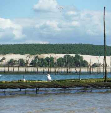 Kriz Anlarında Basın Bülteni ile Kamuoyu Yönetimi Kriz Anlarında Basın Bülteni ile Kamuoyu Yönetimi