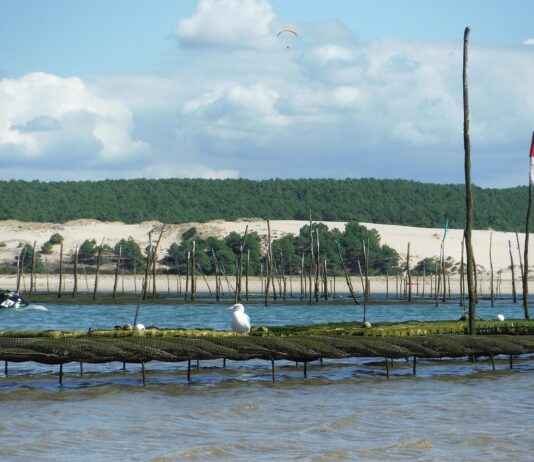 Kriz Anlarında Basın Bülteni ile Kamuoyu Yönetimi Kriz Anlarında Basın Bülteni ile Kamuoyu Yönetimi