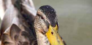 Kriz Anlarında Basın Bülteni Nasıl Hazırlanmalı? Kriz Anlarında Basın Bülteni Nasıl Hazırlanmalı?