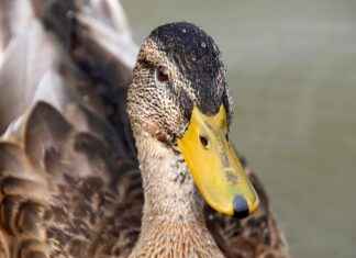 Kriz Anlarında Basın Bülteni Nasıl Hazırlanmalı? Kriz Anlarında Basın Bülteni Nasıl Hazırlanmalı?