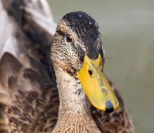 Kriz Anlarında Basın Bülteni Nasıl Hazırlanmalı? Kriz Anlarında Basın Bülteni Nasıl Hazırlanmalı?