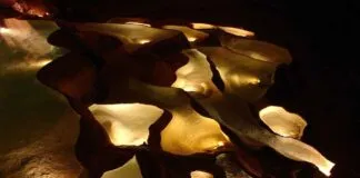 Küçük İşletmeler İçin Basın Bülteni Nasıl Kullanılmalıdır? Küçük İşletmeler İçin Basın Bülteni Nasıl Kullanılmalıdır?