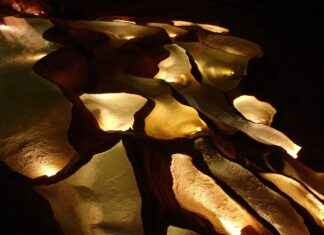 Küçük İşletmeler İçin Basın Bülteni Nasıl Kullanılmalıdır? Küçük İşletmeler İçin Basın Bülteni Nasıl Kullanılmalıdır?