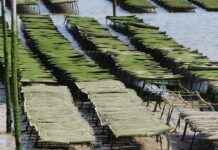 Küresel Basın Bülteni Dağıtımı İçin En Etkili Platformlar Küresel Basın Bülteni Dağıtımı İçin En Etkili Platformlar