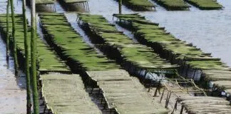 Küresel Basın Bülteni Dağıtımı İçin En Etkili Platformlar Küresel Basın Bülteni Dağıtımı İçin En Etkili Platformlar