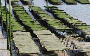 Küresel Basın Bülteni Dağıtımı İçin En Etkili Platformlar Küresel Basın Bülteni Dağıtımı İçin En Etkili Platformlar