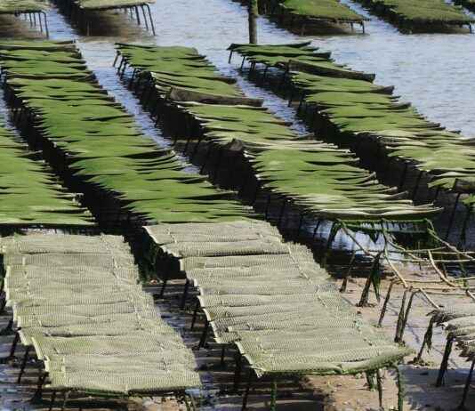Küresel Basın Bülteni Dağıtımı İçin En Etkili Platformlar Küresel Basın Bülteni Dağıtımı İçin En Etkili Platformlar