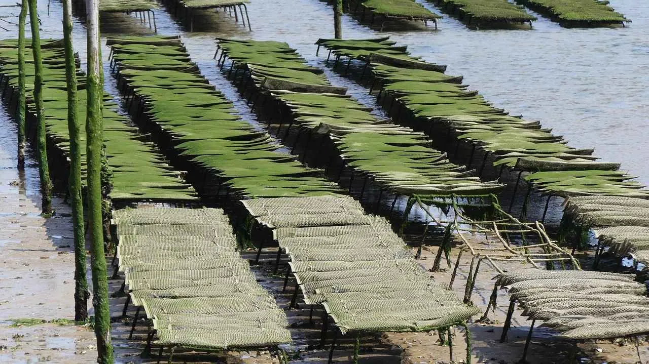 Küresel Basın Bülteni Dağıtımı İçin En Etkili Platformlar Küresel Basın Bülteni Dağıtımı İçin En Etkili Platformlar