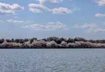 Kurumsal Kimliği Güçlendiren Basın Bülteni Örnekleri Kurumsal Kimliği Güçlendiren Basın Bülteni Örnekleri