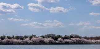 Kurumsal Kimliği Güçlendiren Basın Bülteni Örnekleri Kurumsal Kimliği Güçlendiren Basın Bülteni Örnekleri