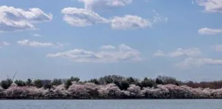 Kurumsal Kimliği Güçlendiren Basın Bülteni Örnekleri Kurumsal Kimliği Güçlendiren Basın Bülteni Örnekleri