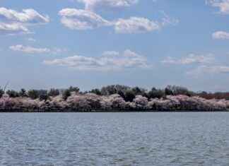 Kurumsal Kimliği Güçlendiren Basın Bülteni Örnekleri Kurumsal Kimliği Güçlendiren Basın Bülteni Örnekleri