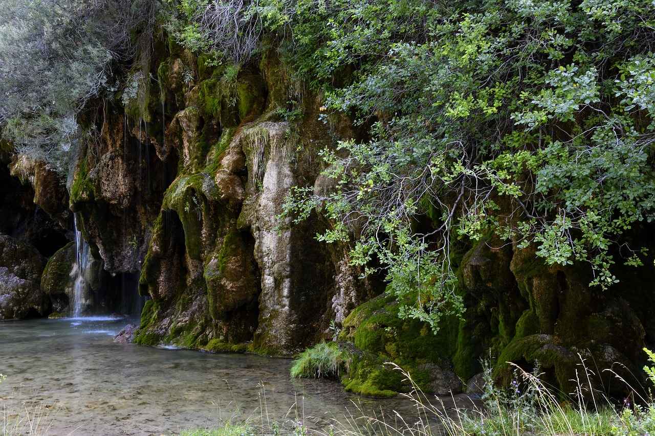 Basın Bülteni Nedir?