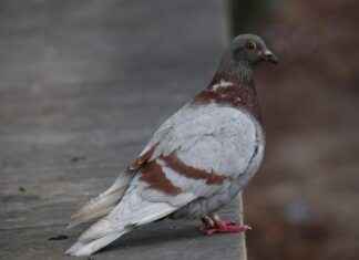 Rakiplerinizi Geride Bırakmak İçin Basın Bülteni Kullanımı Rakiplerinizi Geride Bırakmak İçin Basın Bülteni Kullanımı