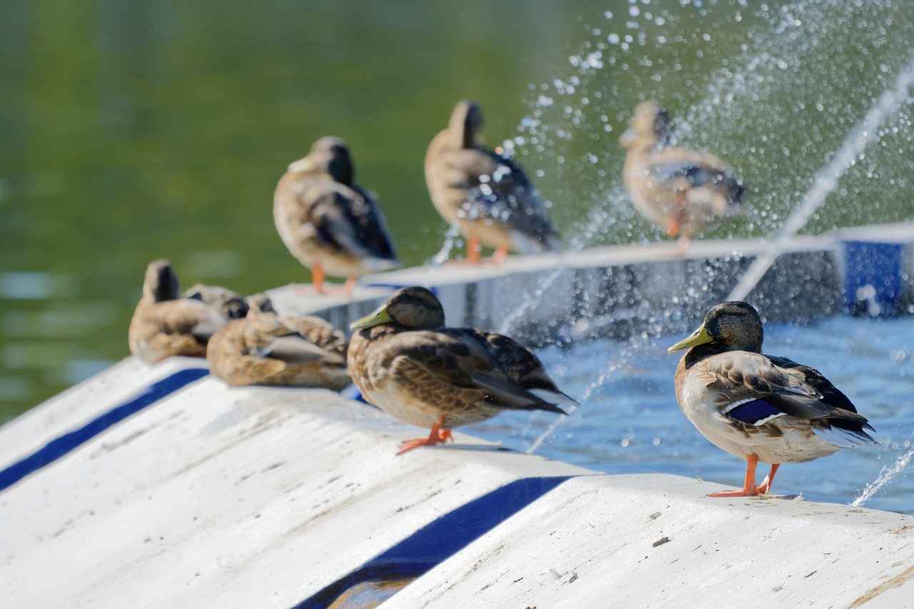 Etkin Bir Basın Bülteni Nasıl Yazılır?